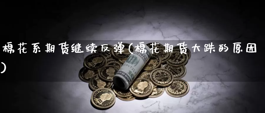 棉花系期货继续反弹(棉花期货大跌的原因)_https://www.szfzlp.com_期货行情_第1张