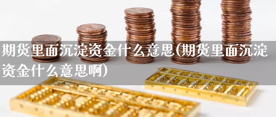 期货里面沉淀资金什么意思(期货里面沉淀资金什么意思啊)_https://www.szfzlp.com_期货开户_第1张