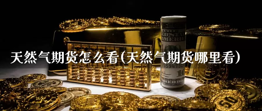 天然气期货怎么看(天然气期货哪里看)_https://www.szfzlp.com_期货行情_第1张