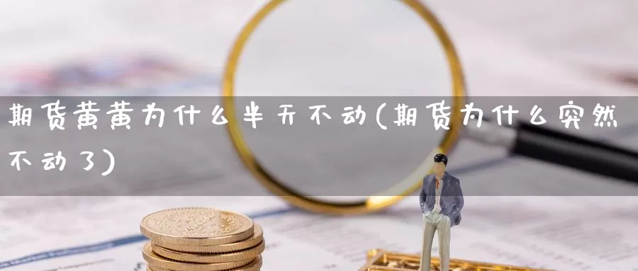 期货黄黄为什么半天不动(期货为什么突然不动了)_https://www.szfzlp.com_期货开户_第1张