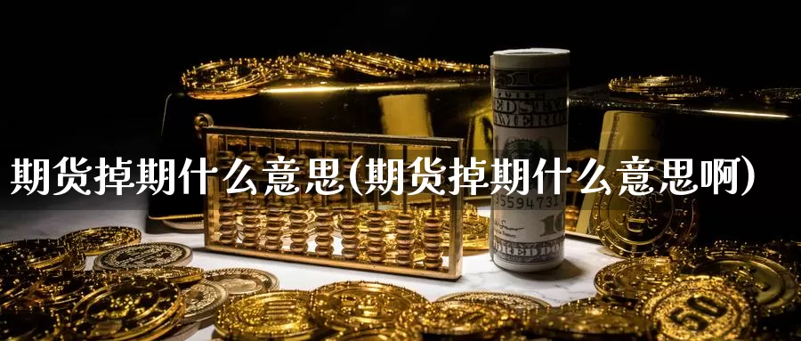 期货掉期什么意思(期货掉期什么意思啊)_https://www.szfzlp.com_期货入门_第1张