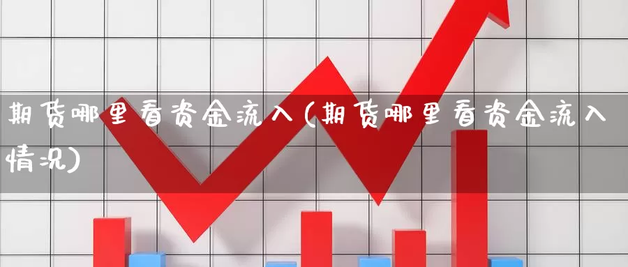 期货哪里看资金流入(期货哪里看资金流入情况)_https://www.szfzlp.com_期货直播室_第1张