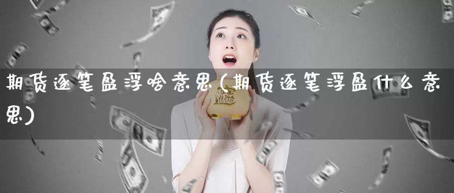 期货逐笔盈浮啥意思(期货逐笔浮盈什么意思)_https://www.szfzlp.com_期货入门_第1张