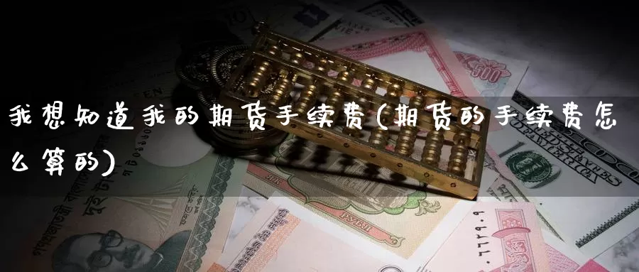 我想知道我的期货手续费(期货的手续费怎么算的)_https://www.szfzlp.com_期货开户_第1张