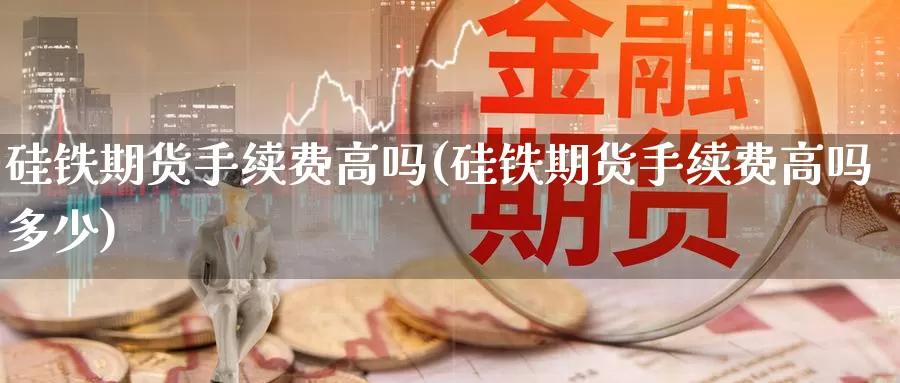 硅铁期货手续费高吗(硅铁期货手续费高吗多少)_https://www.szfzlp.com_期货直播室_第1张