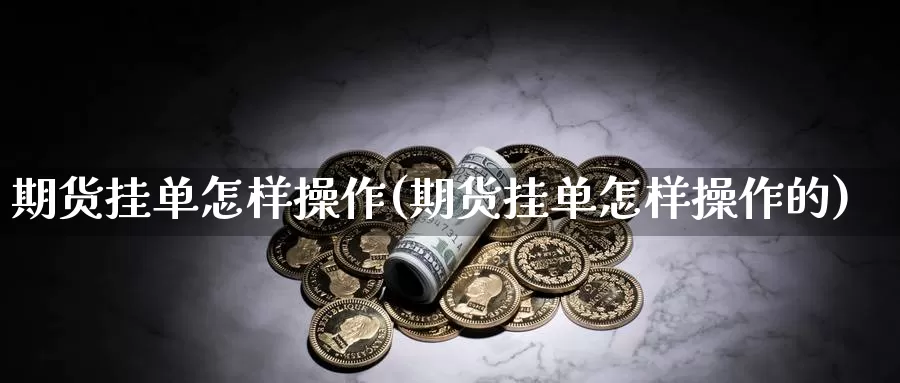 期货挂单怎样操作(期货挂单怎样操作的)_https://www.szfzlp.com_期货开户_第1张