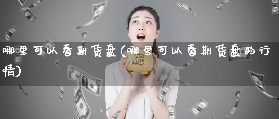 哪里可以看期货盘(哪里可以看期货盘的行情)_https://www.szfzlp.com_期货行情_第1张