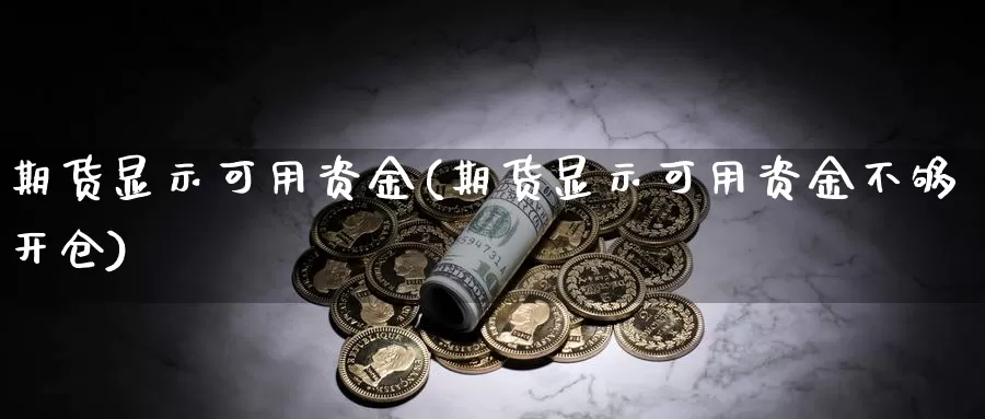 期货显示可用资金(期货显示可用资金不够开仓)_https://www.szfzlp.com_期货入门_第1张