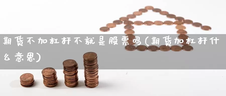 期货不加杠杆不就是股票吗(期货加杠杆什么意思)_https://www.szfzlp.com_期货直播室_第1张