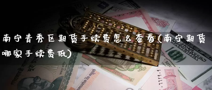 南宁青秀区期货手续费怎么查看(南宁期货哪家手续费低)_https://www.szfzlp.com_期货入门_第1张