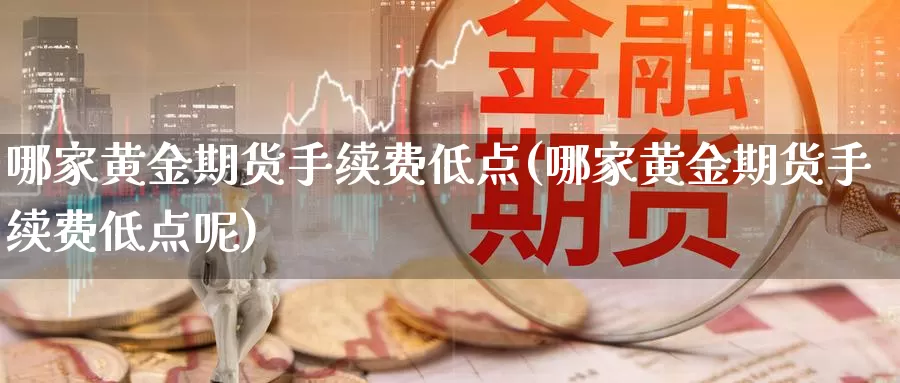 哪家黄金期货手续费低点(哪家黄金期货手续费低点呢)_https://www.szfzlp.com_期货直播室_第1张