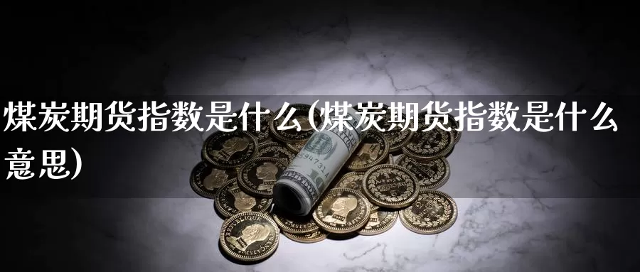 煤炭期货指数是什么(煤炭期货指数是什么意思)_https://www.szfzlp.com_期货入门_第1张