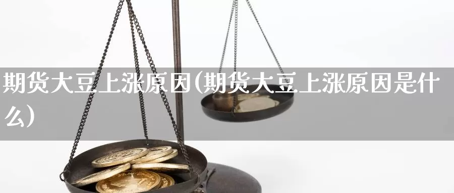 期货大豆上涨原因(期货大豆上涨原因是什么)_https://www.szfzlp.com_期货入门_第1张