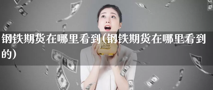 钢铁期货在哪里看到(钢铁期货在哪里看到的)_https://www.szfzlp.com_期货开户_第1张