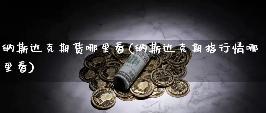 纳斯达克期货哪里看(纳斯达克期指行情哪里看)_https://www.szfzlp.com_期货直播室_第1张