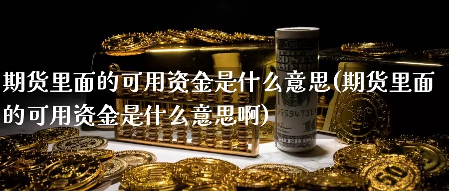 期货里面的可用资金是什么意思(期货里面的可用资金是什么意思啊)_https://www.szfzlp.com_期货直播室_第1张