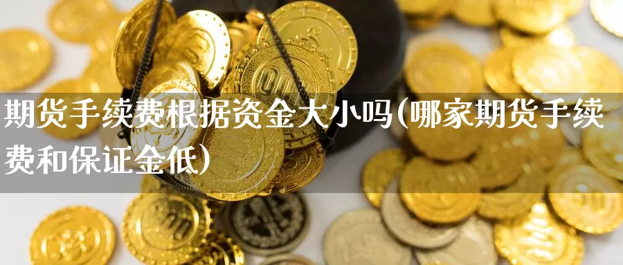 期货手续费根据资金大小吗(哪家期货手续费和保证金低)_https://www.szfzlp.com_期货直播室_第1张