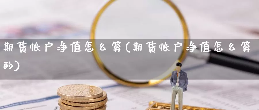 期货帐户净值怎么算(期货帐户净值怎么算的)_https://www.szfzlp.com_期货开户_第1张