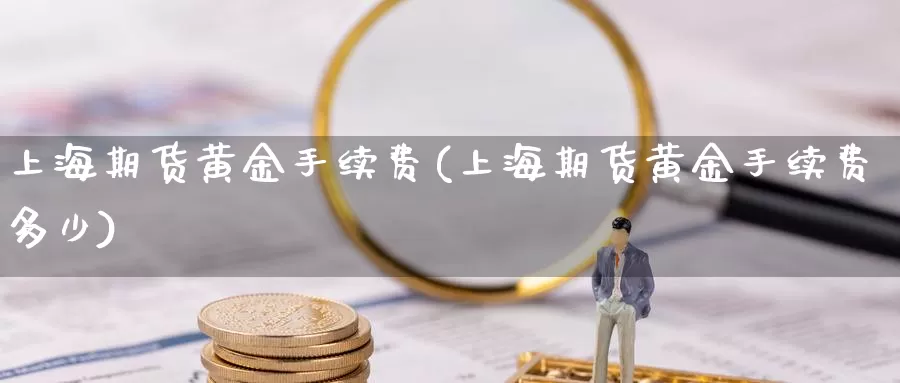 上海期货黄金手续费(上海期货黄金手续费多少)_https://www.szfzlp.com_期货行情_第1张