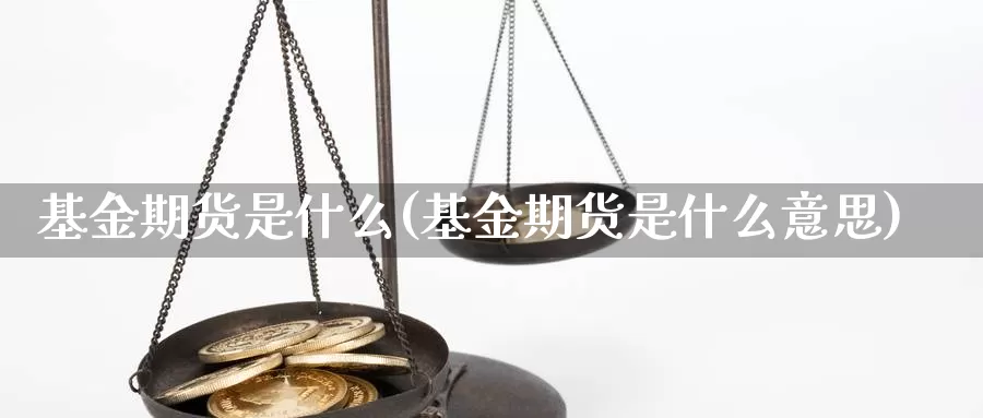 基金期货是什么(基金期货是什么意思)_https://www.szfzlp.com_期货开户_第1张