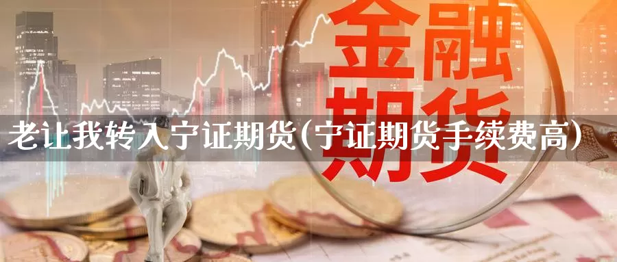 老让我转入宁证期货(宁证期货手续费高)_https://www.szfzlp.com_期货入门_第1张