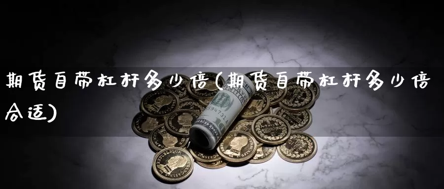 期货自带杠杆多少倍(期货自带杠杆多少倍合适)_https://www.szfzlp.com_期货行情_第1张