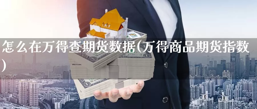 怎么在万得查期货数据(万得商品期货指数)_https://www.szfzlp.com_期货行情_第1张