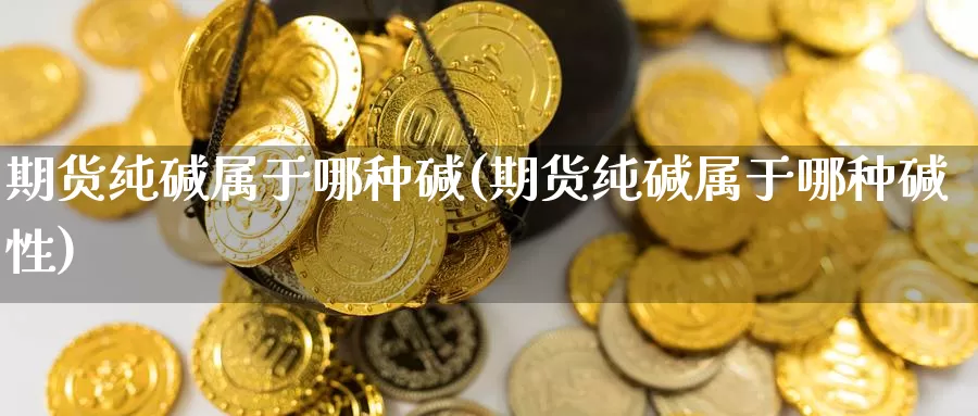 期货纯碱属于哪种碱(期货纯碱属于哪种碱性)_https://www.szfzlp.com_期货入门_第1张