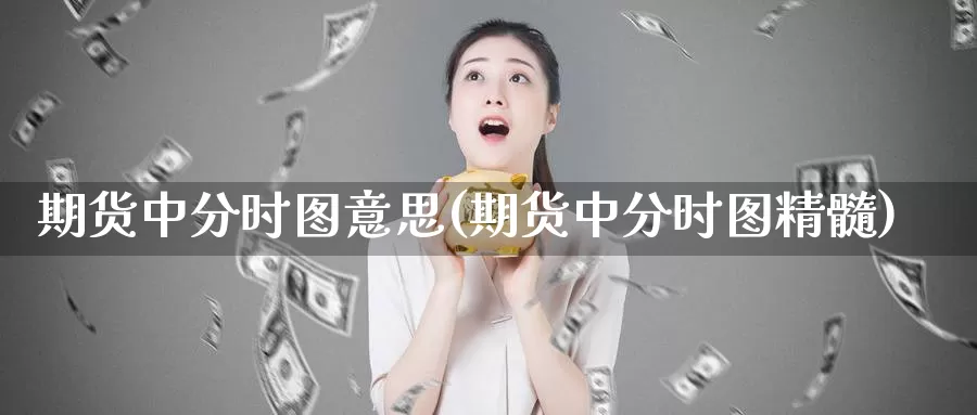 期货中分时图意思(期货中分时图精髓)_https://www.szfzlp.com_期货直播室_第1张