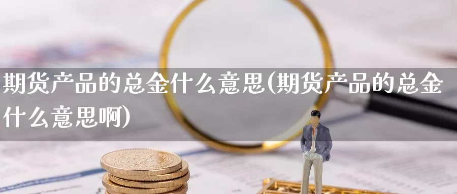 期货产品的总金什么意思(期货产品的总金什么意思啊)_https://www.szfzlp.com_期货行情_第1张