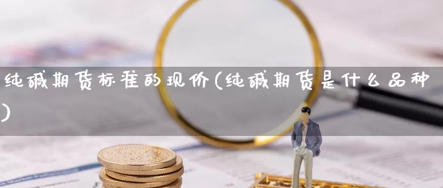 纯碱期货标准的现价(纯碱期货是什么品种)_https://www.szfzlp.com_期货开户_第1张