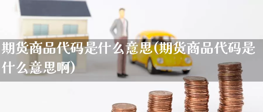 期货商品代码是什么意思(期货商品代码是什么意思啊)_https://www.szfzlp.com_期货入门_第1张