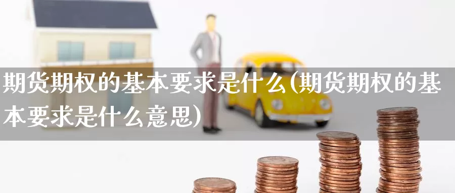 期货期权的基本要求是什么(期货期权的基本要求是什么意思)_https://www.szfzlp.com_期货开户_第1张