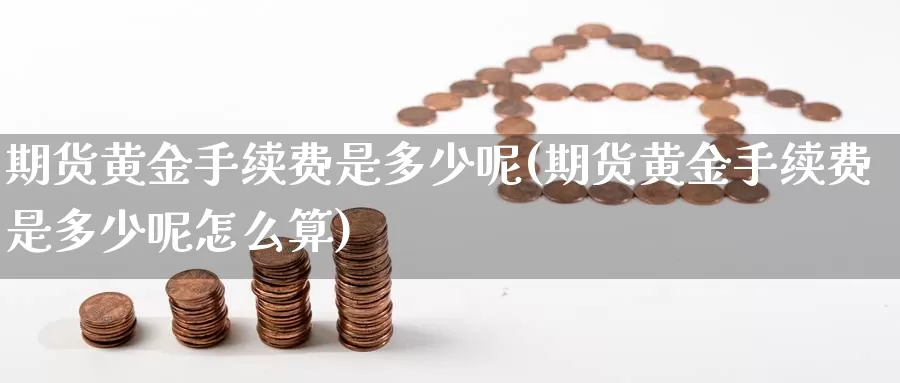 期货黄金手续费是多少呢(期货黄金手续费是多少呢怎么算)_https://www.szfzlp.com_期货直播室_第1张