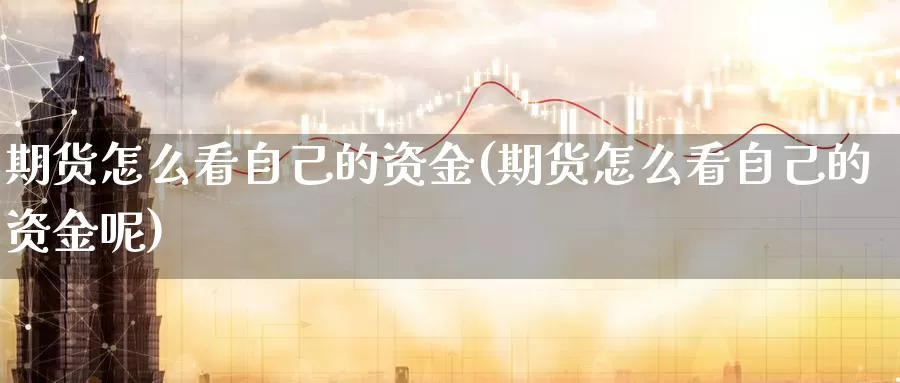 期货怎么看自己的资金(期货怎么看自己的资金呢)_https://www.szfzlp.com_期货直播室_第1张