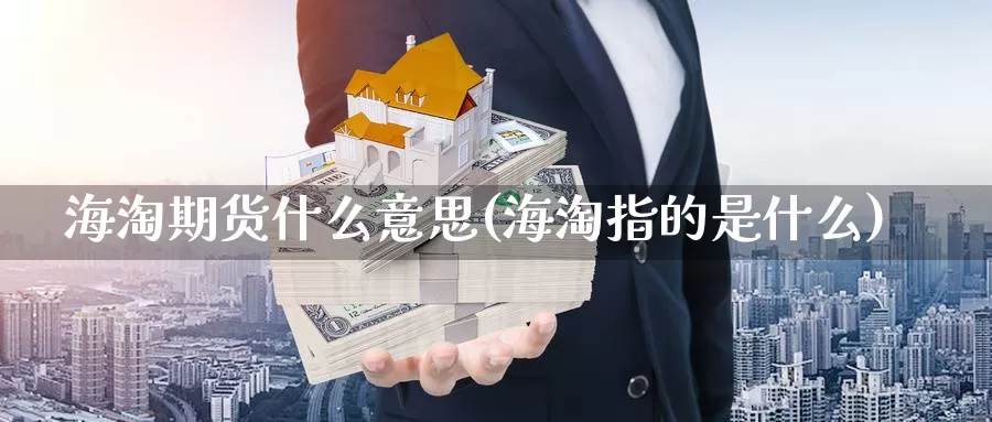 海淘期货什么意思(海淘指的是什么)_https://www.szfzlp.com_期货入门_第1张