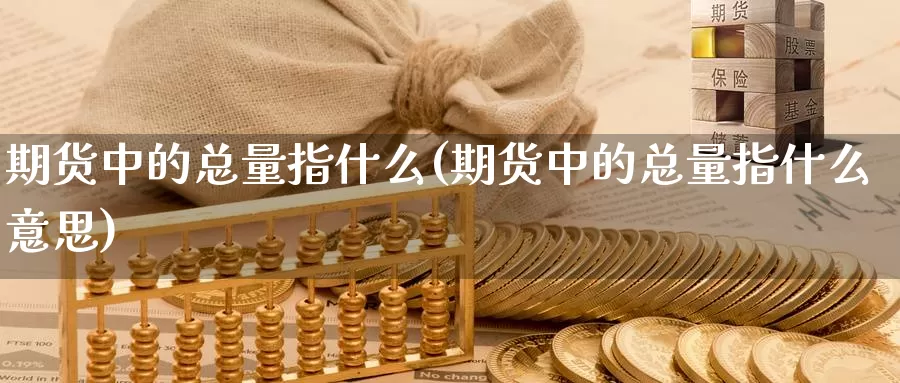 期货中的总量指什么(期货中的总量指什么意思)_https://www.szfzlp.com_期货开户_第1张