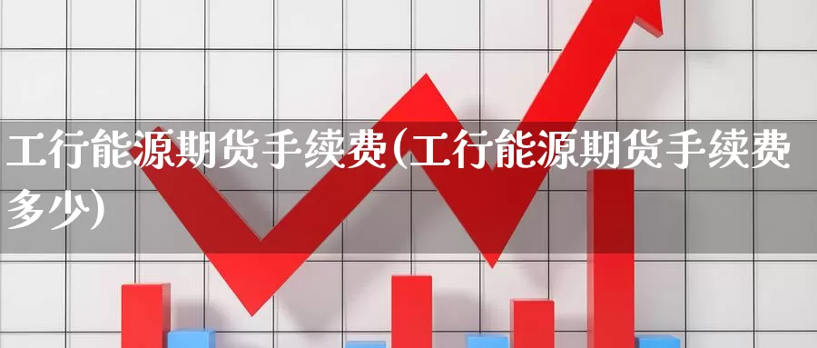 工行能源期货手续费(工行能源期货手续费多少)_https://www.szfzlp.com_期货开户_第1张